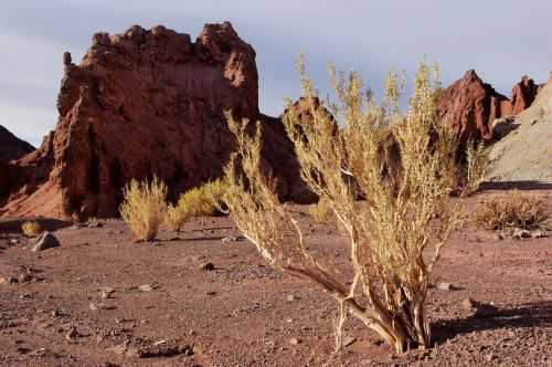 TREKKING NEL DESERTO DI ATACAMA 2015